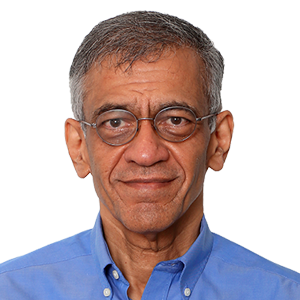 Mr. Gopal Srinivasan